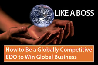 Globally Competitive EDO E-book image